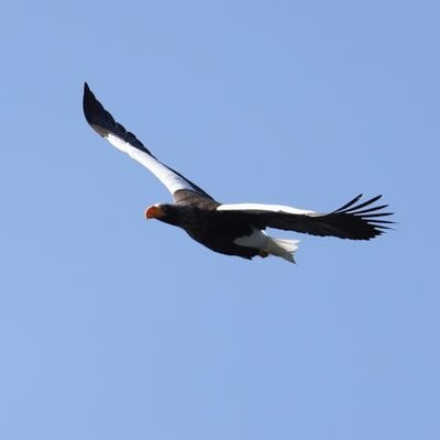 lagnarockguy's profile picture. 釣り、ゲーム、音楽、 天体観測、野鳥撮影、カメラ全版 etc