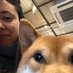 Hannah Hironaka (@hmmhlc) Twitter profile photo Hannah Hironaka (@hmmhlc) Twitter profile photo