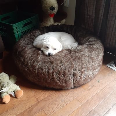 AdamOfficeMusic's profile picture. First single...HOLY out now  
@JustinBieber  @DanAndShay