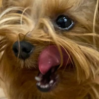 VLASTA72721224's profile picture. Aphasia#Dysphagia# Neuro#SLP#