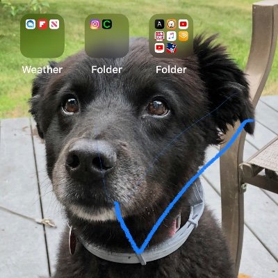 rtfbboy's profile picture. A kid with a dog.