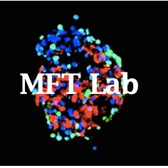 MFTLab is studying #Type1Diabetes and #CysticFibrosis. Focus on aetiology, biodiversity, disease interception and biomarkers.