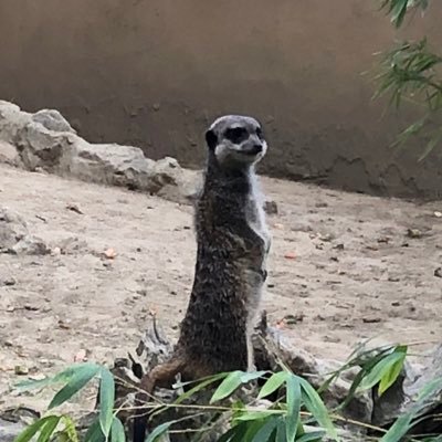 dovakin93's profile picture. 🇫🇷🇪🇸