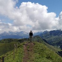 Kim Philipp Jablonski (@kpj_py) 's Twitter Profile
