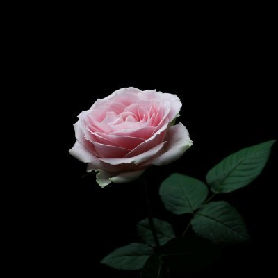 emasyimah's profile picture. Selangorean