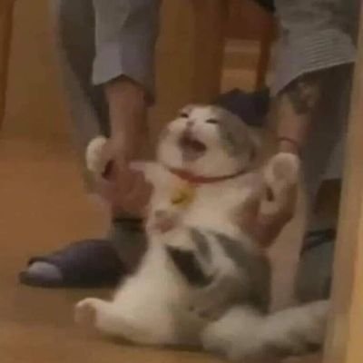 GrayEscaled's profile picture. MURIENDO.✨✨
PENDEJA.🛐🛐
BOLUDA SE NACE NO SE HACE.😔✊
AUIDA.👀👀
ME MUERO SOLA EN UN VASO DE AGUA.
🇨🇴🇨🇴 por favor ayúdenme a escapar de Latinoamérica!!!!!