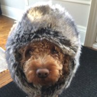 Xccept (@xcceptfn) 's Twitter Profile