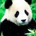 Juan Pablo (@juanpab06738623) Twitter profile photo Juan Pablo (@juanpab06738623) Twitter profile photo