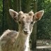 Visit Stanmore (@stanmoretourist) Twitter profile photo Visit Stanmore (@stanmoretourist) Twitter profile photo