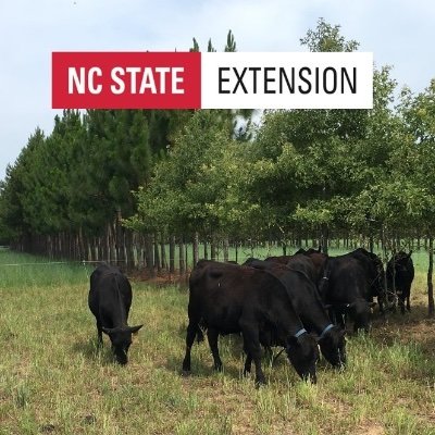 Official NC State University Extension page. Follow us for research-based information on forage and grassland management.