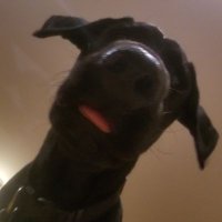 Leron Perez (@leron_perez) 's Twitter Profile