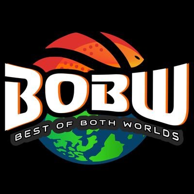 Bobwbasketballservices