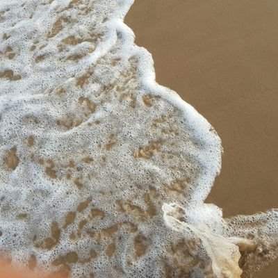 SaraNI03548687's profile picture. 