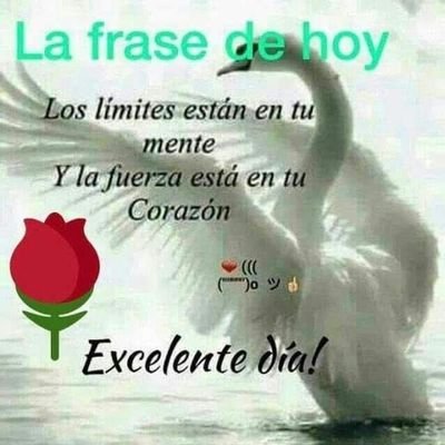 Salvando distancias, cuando se puede ✨ si se quiere, mejorar ♥️, las vidas 👮👽💆💞👏🎁🎂📨🎶️🌹📢#ahappyday #buenfind #agoodliveforus #RRHH #alwaysthanwecan😉