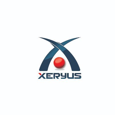 Xeryus provides Business Solutions for small to mid-sized networks. We specialize in addressing the day to day needs of our clients while preparing, envisioning