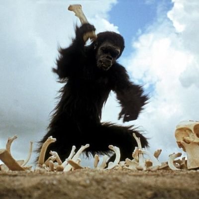Català, república, antifeixista, enginyer industrial, amant del cinema clàssic, de la bona música i de la bona taula.
Trols/Gifs/Insults/TDP sense ceba=Bloc