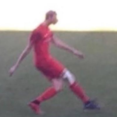 aaronstaywoke's profile picture. hanlon’s razor