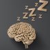 Center On Biological Rhythms And Sleep (@washucobras) Twitter profile photo Center On Biological Rhythms And Sleep (@washucobras) Twitter profile photo