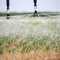 OK Master Irrigator (@oirrigator) 's Twitter Profile