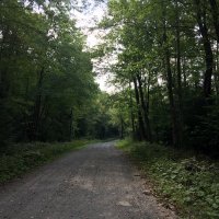 BGM (@bridgetmoore) 's Twitter Profile