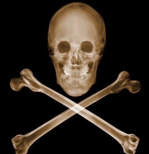 amplesamurai's profile picture. 