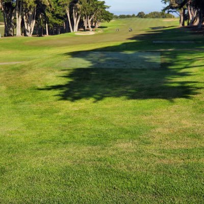 kushum32026442's profile picture. 