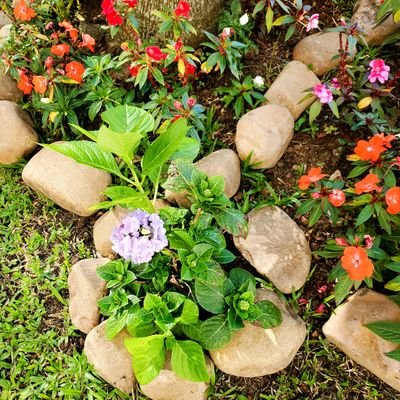 fifafifafo's profile picture. 