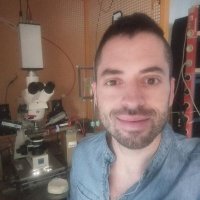 Lopez-Murcia FRAN (@lopezmurciafra1) 's Twitter Profile
