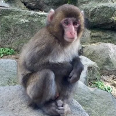 。さんのプロフィール画像