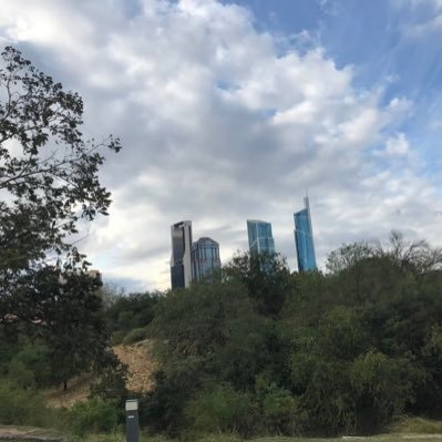 davidran175's profile picture. 