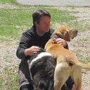 Ben Mosher - @BenMosher1 - Twitter