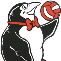 Midwest Penguins VBC (@midwestpenguins) 's Twitter Profile