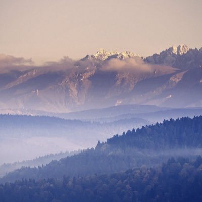 frds_mnsr's profile picture. 