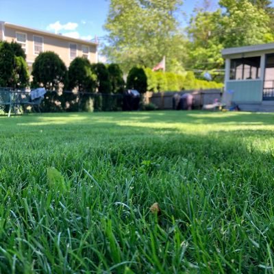 Great American Lawn 🇺🇸