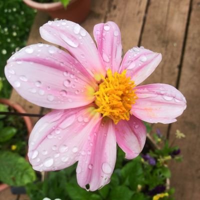 apdurand67's profile picture. Travel Agent for Cruise Brothers🚢..Live to travel, a bookworm📚, crochet, Outlander❤, love the outdoors, and now getting fit💪