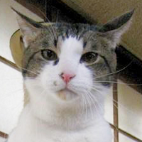 Dual_wield (@dual_wield) Twitter profile photo