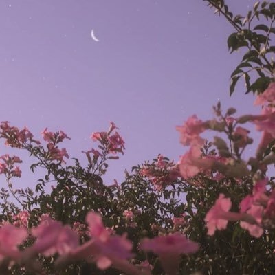 “𝐸𝓋𝑒𝓃 𝓉𝒽𝑜𝓊𝑔𝒽 𝓎𝑜𝓊 𝒻𝓁𝑒𝓌 𝒶𝓌𝒶𝓎, 𝒾𝓃 𝓂𝓎 𝓈𝑜𝓊𝓁 𝓎𝑜𝓊 𝓌𝒾𝓁𝓁 𝒻𝑜𝓇𝑒𝓋𝑒𝓇 𝓈𝓉𝒶𝓎...”🦋