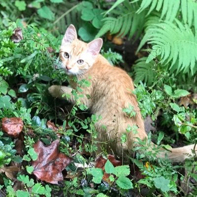 Tweeter7774's profile picture. 