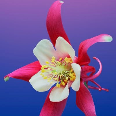 surenthan86's profile picture. 