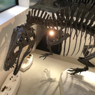 学校法人　滋慶学園　東京ECO動物海洋専門学校
副校長/部長/DINOSAUR　MUSEUM館長

登山・アウトドア・フィールドテクニック・旅・冒険・釣り・農業・馬・鮎・料理・動物・爬虫類・観賞魚・植物・恐竜・鉱物・発掘・展示・加工・環境教育・人材育成・ビジネスマネージメント・アニマルヒストリーコミュニケーター