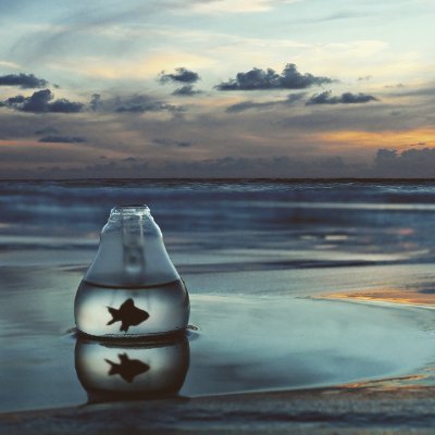 Selanolowkey's profile picture. Double up the dose
You're my favorite high
♂️🌈