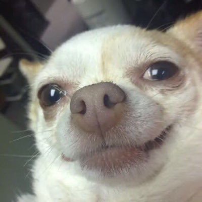yupilmao's profile picture. Ishe