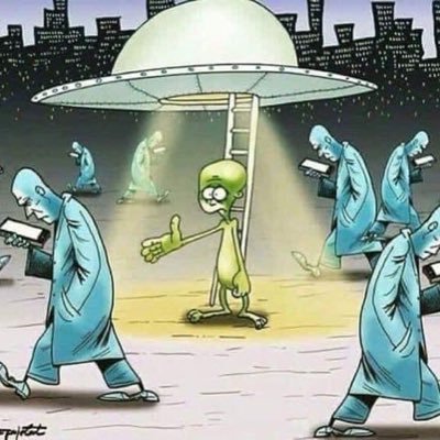 BFrippen's profile picture. 