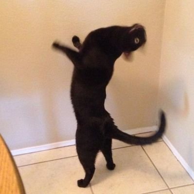 Enbolさんのプロフィール画像