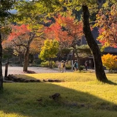 nazeera_abubakr's profile picture. 