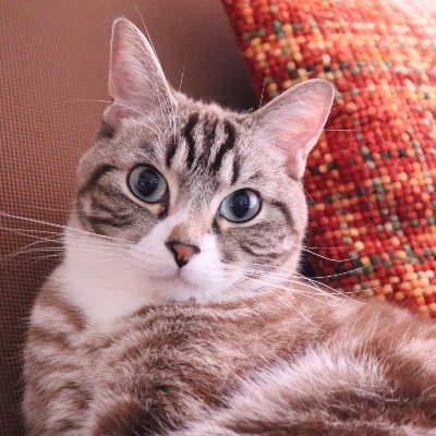 Aku ラジオ日記 問わず語りの神田伯山 あく Aku 神田松之丞問わず語りの松之丞 問わず語りの神田伯山 伯山ラジオ 神田伯山 講談師 毒舌 悪口 伊集院光 太田光 高田文夫 重藤暁 笑い屋 林家三平 帝国ホテル Note Aku ラジオ日記 問わず語りの神田伯山 あく Aku 神田松之丞問わず語りの松之丞 問わず語りの神田伯山 伯山ラジオ 神田伯山 講談師 毒舌 悪口 伊集院光 太田光 高田文夫 重藤暁 笑い屋 林家三平 帝国ホテル Note
