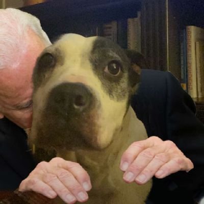 zionra10's profile picture. I got Twitter because of Danny Devito