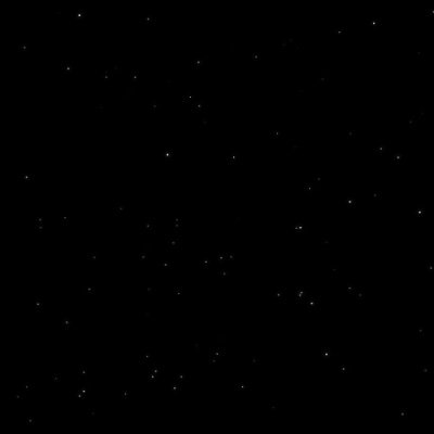 RubywooX's profile picture. None.