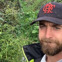 Harry Pearman (@harrypearman) 's Twitter Profile