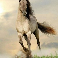 Mehmet Emre Ayhan (@mehmetteemre) 's Twitter Profile Photo Mehmet Emre Ayhan (@mehmetteemre) 's Twitter Profile Photo